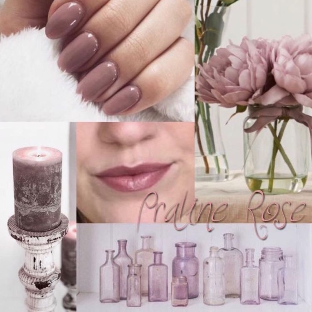 LAST ONE! Praline Rose Lipsense